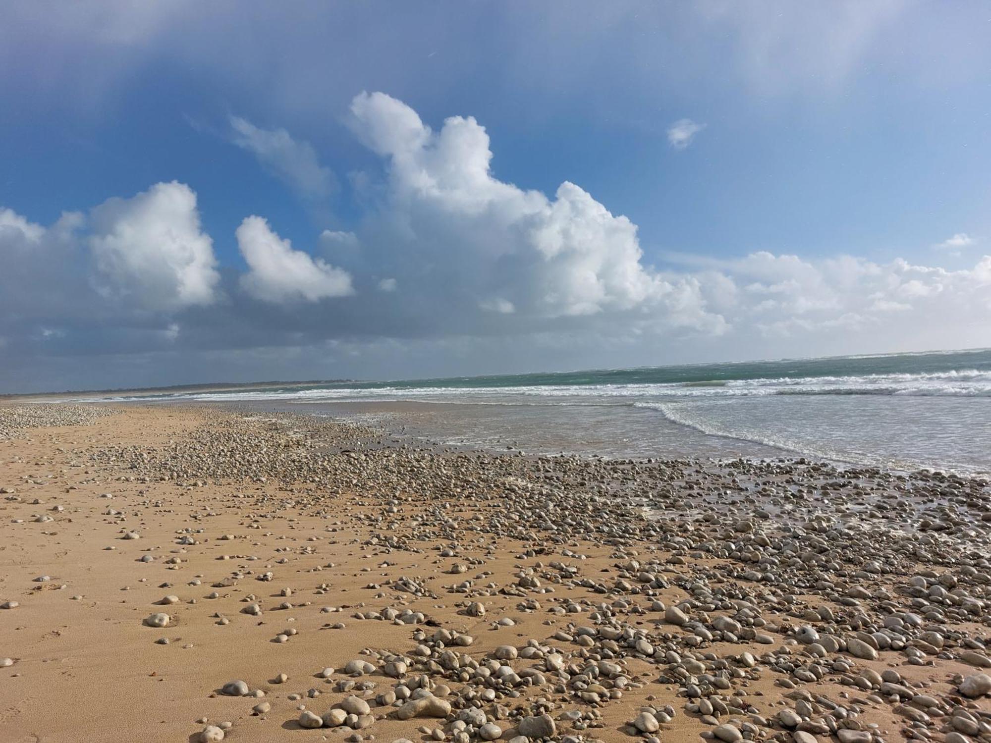 Maison 400m Océan avec jardin clos et ombragé Saint-Georges-d'Oleron Esterno foto