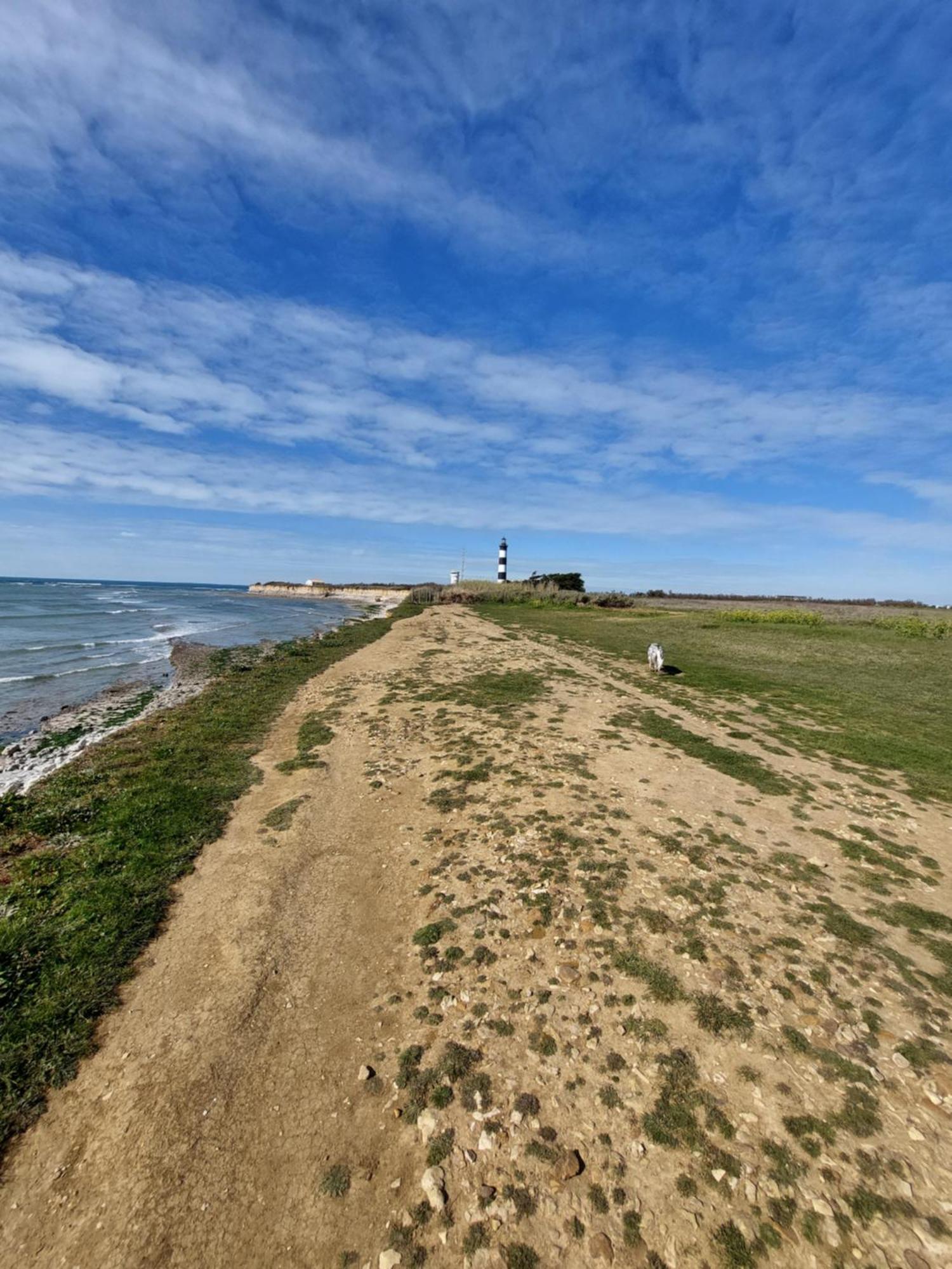 Maison 400m Océan avec jardin clos et ombragé Saint-Georges-d'Oleron Esterno foto